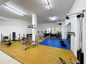 Gimnasio